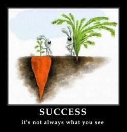 Success is not always what you see