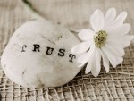 Trust-rock-with-daisy