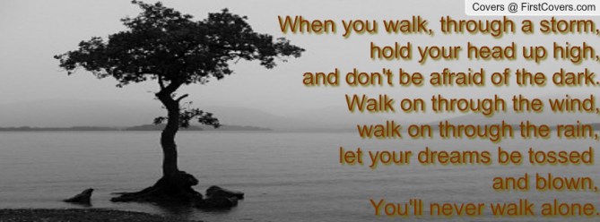 you'll_never_walk_alone-240388