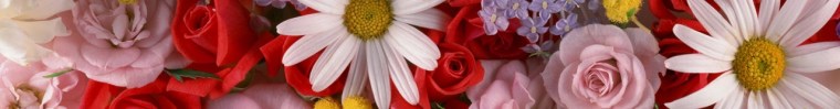 assorted-flowers-arrangement-website-header